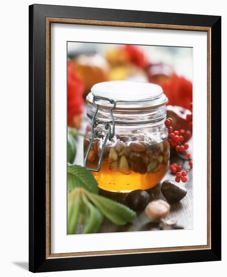 Honey with Chestnuts and Almonds in Jar-Alena Hrbkova-Framed Photographic Print