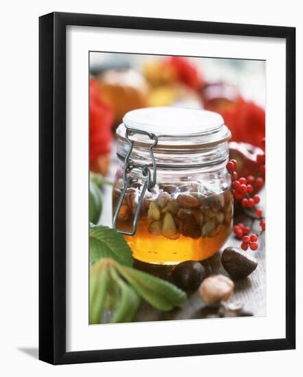 Honey with Chestnuts and Almonds in Jar-Alena Hrbkova-Framed Photographic Print