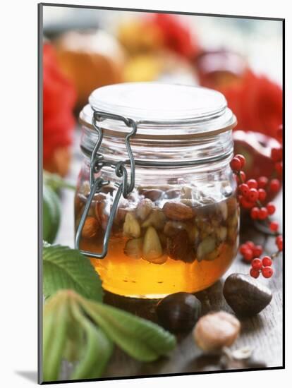 Honey with Chestnuts and Almonds in Jar-Alena Hrbkova-Mounted Photographic Print