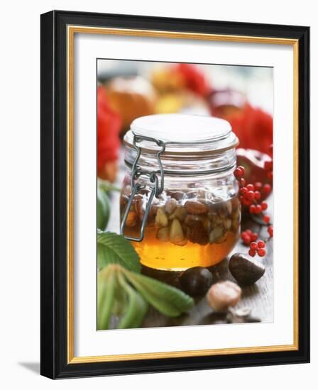 Honey with Chestnuts and Almonds in Jar-Alena Hrbkova-Framed Photographic Print