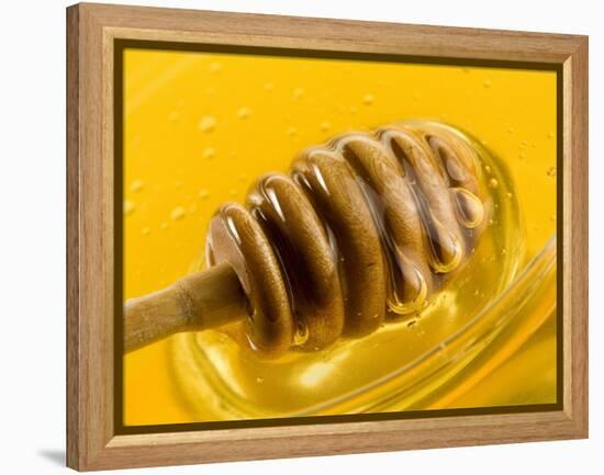 Honey with Honey Dipper-Vladimir Shulevsky-Framed Premier Image Canvas