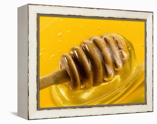 Honey with Honey Dipper-Vladimir Shulevsky-Framed Premier Image Canvas