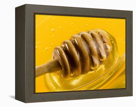 Honey with Honey Dipper-Vladimir Shulevsky-Framed Premier Image Canvas