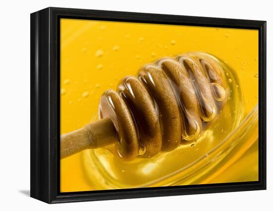 Honey with Honey Dipper-Vladimir Shulevsky-Framed Premier Image Canvas