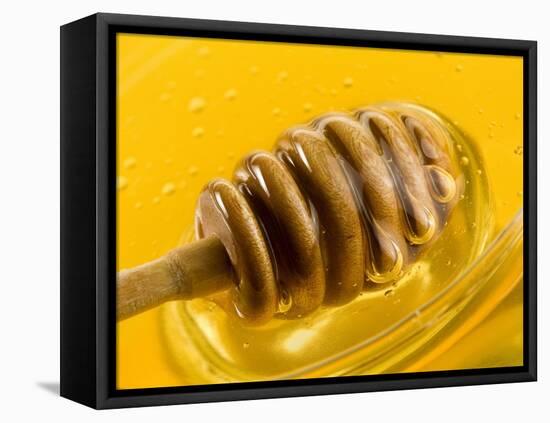 Honey with Honey Dipper-Vladimir Shulevsky-Framed Premier Image Canvas