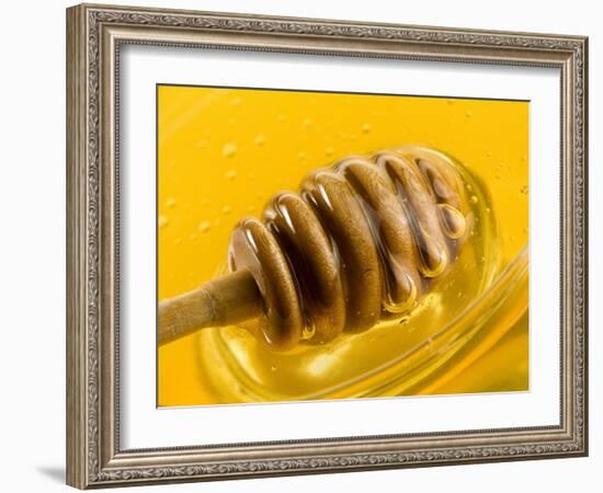 Honey with Honey Dipper-Vladimir Shulevsky-Framed Photographic Print