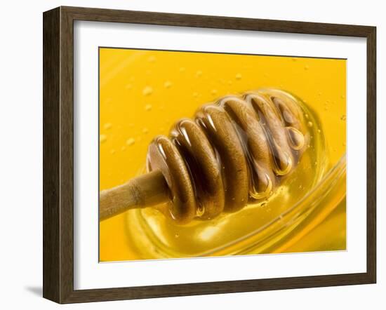 Honey with Honey Dipper-Vladimir Shulevsky-Framed Photographic Print