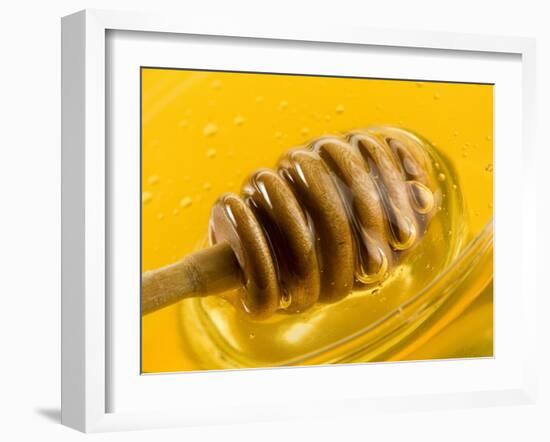 Honey with Honey Dipper-Vladimir Shulevsky-Framed Photographic Print