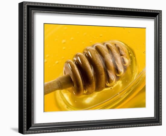 Honey with Honey Dipper-Vladimir Shulevsky-Framed Photographic Print