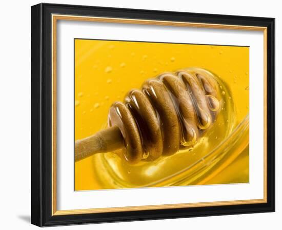 Honey with Honey Dipper-Vladimir Shulevsky-Framed Photographic Print