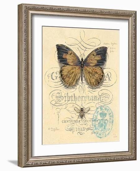 Honeybee Papillon-Chad Barrett-Framed Art Print