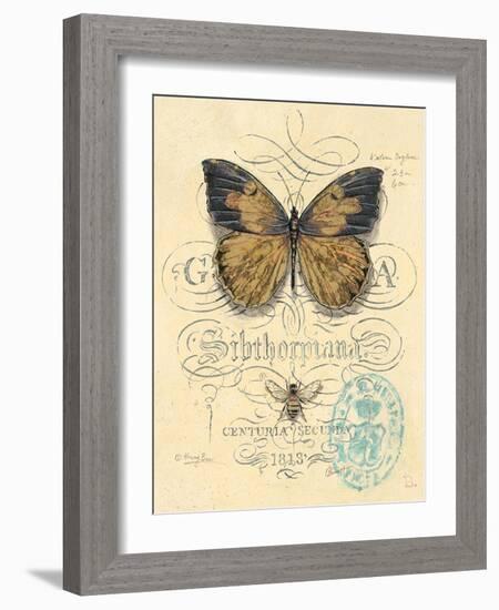 Honeybee Papillon-Chad Barrett-Framed Art Print