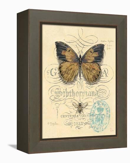 Honeybee Papillon-Chad Barrett-Framed Stretched Canvas