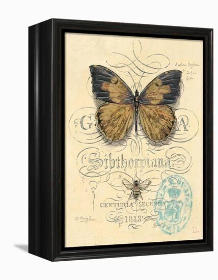 Honeybee Papillon-Chad Barrett-Framed Stretched Canvas