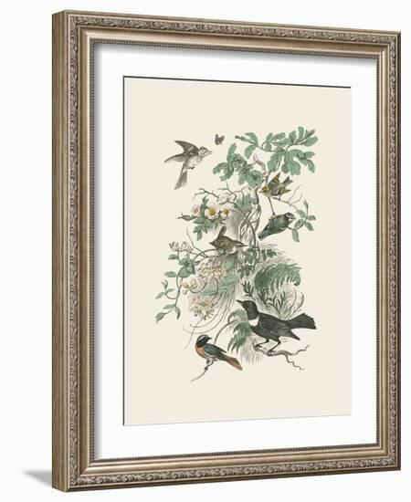 Honeybloom Bird II-Wild Apple Portfolio-Framed Art Print