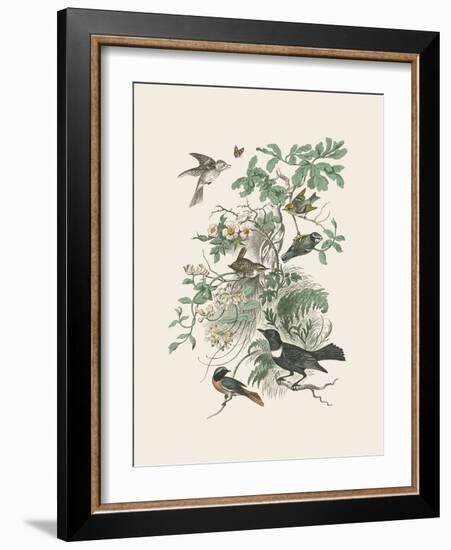 Honeybloom Bird II-Wild Apple Portfolio-Framed Art Print