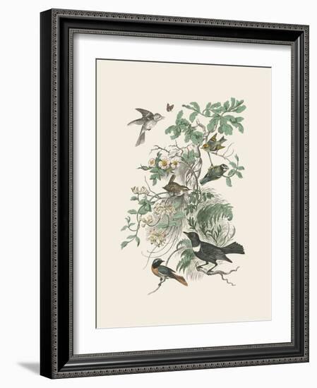 Honeybloom Bird II-Wild Apple Portfolio-Framed Art Print