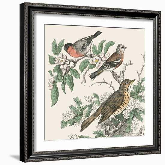 Honeybloom Bird IV-Wild Apple Portfolio-Framed Art Print