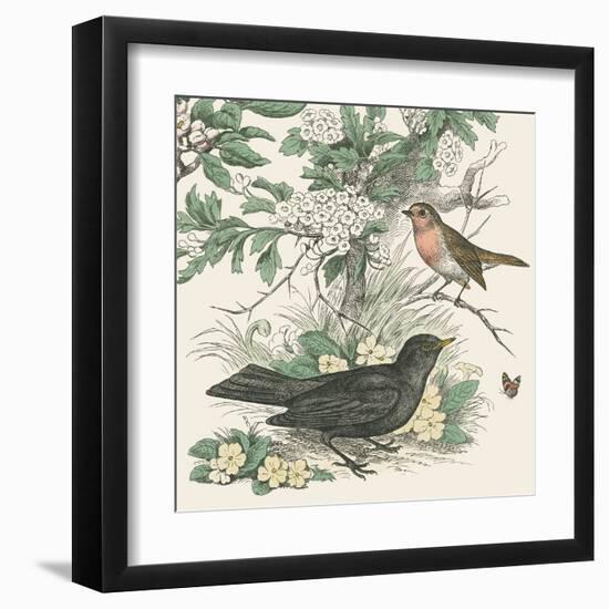 Honeybloom Bird V-Wild Apple Portfolio-Framed Art Print