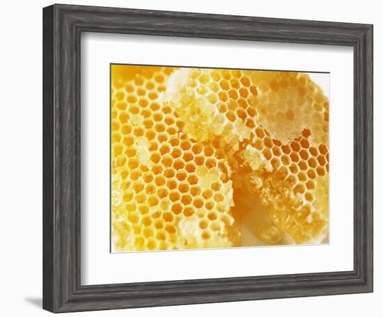 Honeycomb (Close-Up)-Colin Erricson-Framed Photographic Print