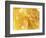 Honeycomb (Close-Up)-Colin Erricson-Framed Photographic Print