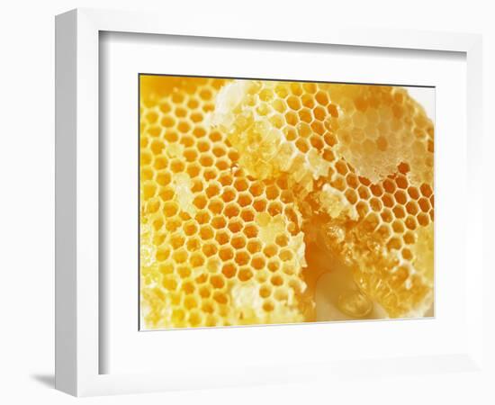 Honeycomb (Close-Up)-Colin Erricson-Framed Photographic Print