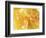 Honeycomb (Close-Up)-Colin Erricson-Framed Photographic Print