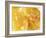 Honeycomb (Close-Up)-Colin Erricson-Framed Photographic Print