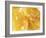 Honeycomb (Close-Up)-Colin Erricson-Framed Photographic Print