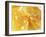 Honeycomb (Close-Up)-Colin Erricson-Framed Photographic Print