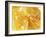 Honeycomb (Close-Up)-Colin Erricson-Framed Photographic Print