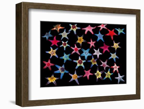 Honeycomb / Cushion starfish composite image-Georgette Douwma-Framed Photographic Print