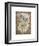 Honeycomb Dragonflies-David Hewitt-Framed Giclee Print