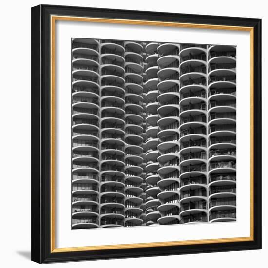 Honeycomb-Tony Koukos-Framed Giclee Print