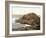 Honeycombs, Giant's Causeway, Ireland, 1890s-Science Source-Framed Giclee Print