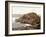 Honeycombs, Giant's Causeway, Ireland, 1890s-Science Source-Framed Giclee Print