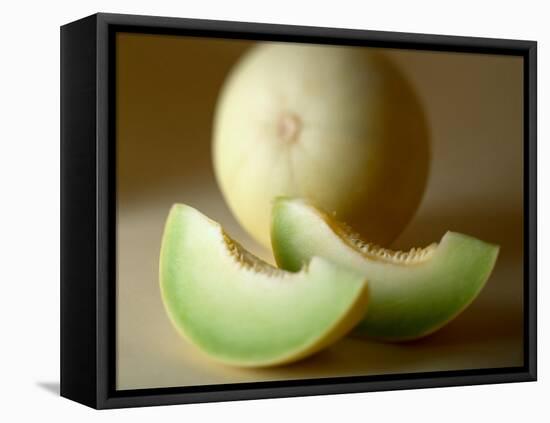 Honeydew Melon and Slices-Chris Rogers-Framed Premier Image Canvas