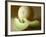 Honeydew Melon and Slices-Chris Rogers-Framed Photographic Print