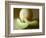 Honeydew Melon and Slices-Chris Rogers-Framed Photographic Print