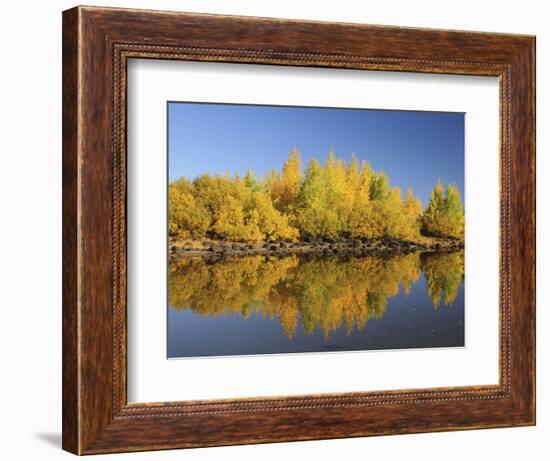 Honeymoon Lake Reflections, Steens Mountain, Frenchglen, Oregon, USA-Michel Hersen-Framed Photographic Print