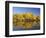 Honeymoon Lake Reflections, Steens Mountain, Frenchglen, Oregon, USA-Michel Hersen-Framed Photographic Print