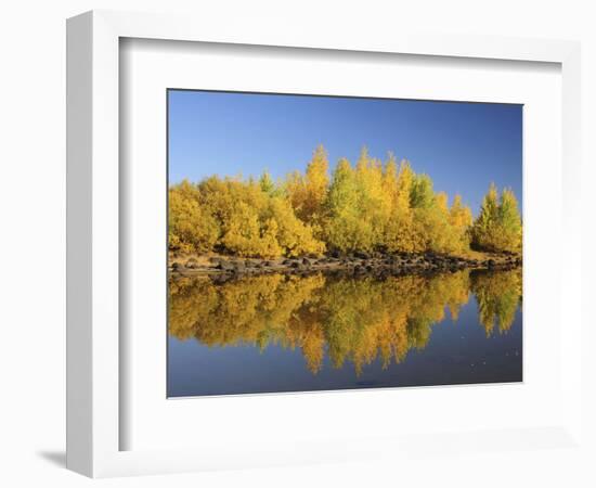 Honeymoon Lake Reflections, Steens Mountain, Frenchglen, Oregon, USA-Michel Hersen-Framed Photographic Print