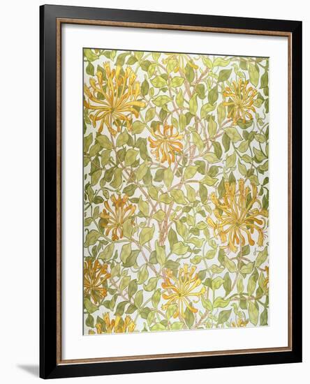 Honeysuckle Design, 1883-William Morris-Framed Giclee Print