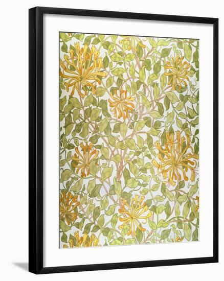 Honeysuckle Design, 1883-William Morris-Framed Giclee Print