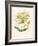 Honeysuckle-F. Edward Hulme-Framed Photographic Print