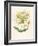 Honeysuckle-F. Edward Hulme-Framed Photographic Print