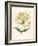 Honeysuckle-F. Edward Hulme-Framed Photographic Print