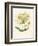 Honeysuckle-F. Edward Hulme-Framed Photographic Print