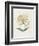 Honeysuckle-Gwendolyn Babbitt-Framed Premium Giclee Print