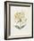 Honeysuckle-Gwendolyn Babbitt-Framed Art Print